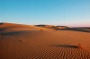 تصویر با کیفیت صحرا