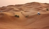 دانلود عکس سافاری