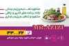 کارت ویزیت پزشک تغذیه شامل وکتور صیفیجات جهت چاپ کارت ویزیت کارشناس تغذیه
