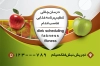 طرح لایه باز کارت ویزیت دکتر تغذیه شامل وکتور میوه جهت چاپ کارت ویزیت مشاور و پزشک تغذیه