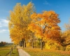 دانلود عکس منظره پاییز