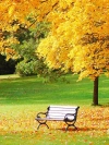 عکس نیمکت پاییزی