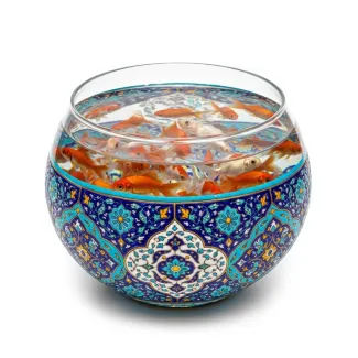 عکس حرفه ای تنگ ماهی