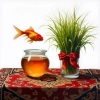 عکس حرفه ای ماهی گلی و سبزه