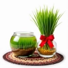 عکس حرفه ای تنگ ماهی و سبزه