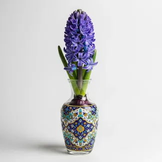 عکس حرفه ای گل سنبل