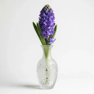 عکس حرفه ای گل سنبل