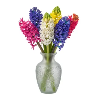 عکس حرفه ای گل سنبل