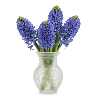 عکس حرفه ای گل سنبل