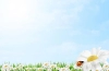بک گراند طبیعت