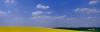 تصویر با کیفیت طبیعت