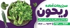 بنر قابل ویرایش سبزیجات اماده شامل عکس سبزی جهت چاپ بنر و تابلو سبزی آماده طبخ
