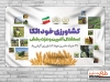 طرح خام بنر روز جهاد کشاورزی شامل عکس زمین کشاورزی و پرچم ایران جهت چاپ بنر و پوستر هفته جهاد کشاورزی