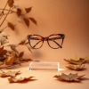 عکس حرفه ای فروشگاه عینک