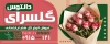 طرح تابلو لایه باز گل فروشی شامل عکس گل