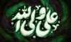 بنر شهادت امام علی دارای خوشنویسی علی ولی الله