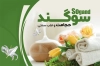 دانلود کارت ویزیت حجامت شامل عکس حوله