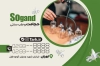 طرح لایه باز کارت ویزیت حجامت شامل عکس بادکش