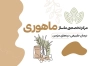 نمونه کارت ویزیت مرکز ماساژ درمانی شامل وکتور ماساژ جهت چاپ کارت ویزیت ماساژ درمانی