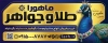 طرح بنر خام طلا فروشی شامل عکس گردنبند