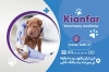 دانلود کارت ویزیت کلینیک دامپزشکی شامل عکس سگ جهت چاپ کارت ویزیت کلینیک دامپزشکی