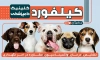 طرح لایه باز تابلو دامپزشکی شامل عکس سگ و دامپزشک جهت چاپ تابلو درمانگاه دامپزشکی