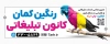 طرح تابلو آگهی نما کانون تبلیغاتی شامل عکس طوطی با فرمت PSD و قابل ویرایش