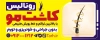 طرح تابلو کاشت مو شامل عکس مو