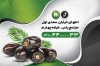 طرح کارت ویزیت فروشگاه خرما