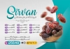 تراکت لایه باز خرما