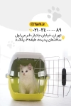 دانلود کارت ویزیت پت شاپ شامل عکس گربه جهت چاپ کارت ویزیت فروش تجهیزات حیوانات خانگی