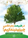 دانلود بنر سیزده به در شامل عکس درخت سبز جهت چاپ بنر و پوستر روز 13 بدر