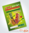 نمونه تراکت آماده میوه فروشی با تم سبز