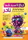 طرح تراکت خام میوه سرا شامل عکس میوه