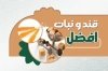 کارت ویزیت لایه باز قند و نبات شامل عکس قند
