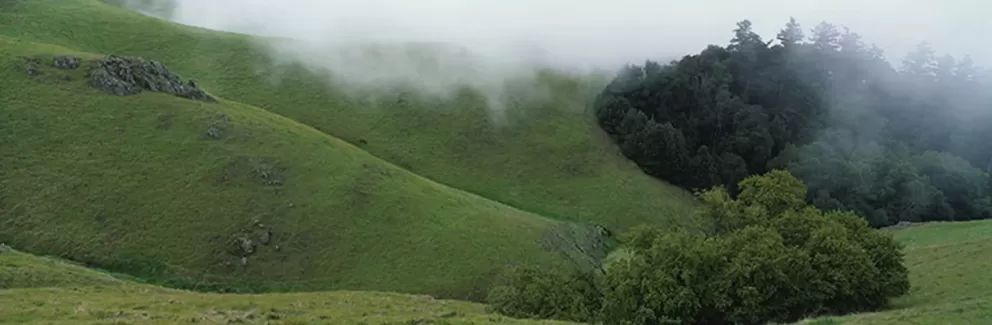 عکس واید منظره مه آلود عکس واید منظره مه آلود