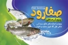 کارت ویزیت پرورش ماهی psd شامل تصویر ماهی جهت چاپ کارت ویزیت شیلات و ماهی فروشی