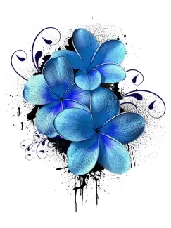 عکس با کیفیت گل آبی