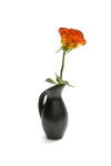 عکس باکیفیت گلدان گل