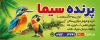 طرح تابلو آگهی نما پرنده فروشی شامل عکس پرنده و طوطی