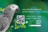 کارت ویزیت پرنده سرا شامل عکس پرنده و وکتور برگ و فرمت psd و قابلیت ویرایش