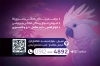 کارت ویزیت پرنده سرا شامل عکس پرنده و وکتور برگ و فرمت psd و قابلیت ویرایش