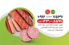 کارت ویزیت لایه باز فروشگاه سوسیس و کالباس شامل وکتور گوشت جهت چاپ کارت ویزیت سوپر پروتئینی