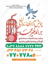 بنر قابل ویرایش آزادی زندانیان در یلدا شامل وکتور انار