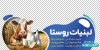 طرح برچسب شیشه لبنیات شامل عکس گاو