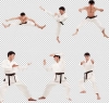 عکس با کیفیت کاراته کار