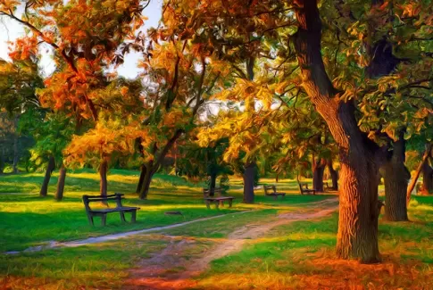 تصویر با کیفیت نقاشی پاییزی تصویر با کیفیت نقاشی پاییزی