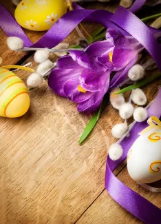 تصویر با کیفیت گل و تخم مرغ های رنگی
