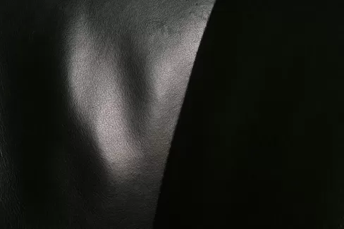 تصویر استوک صندلی چرم تصویر استوک صندلی چرم