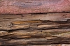 عکس استوک باکیفیت بک گراند چوبی